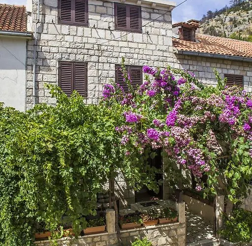 Ante * 特雷斯塔尼克