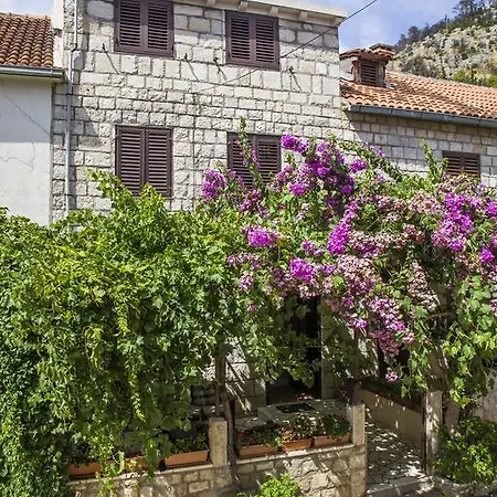 Ante * Trstenik